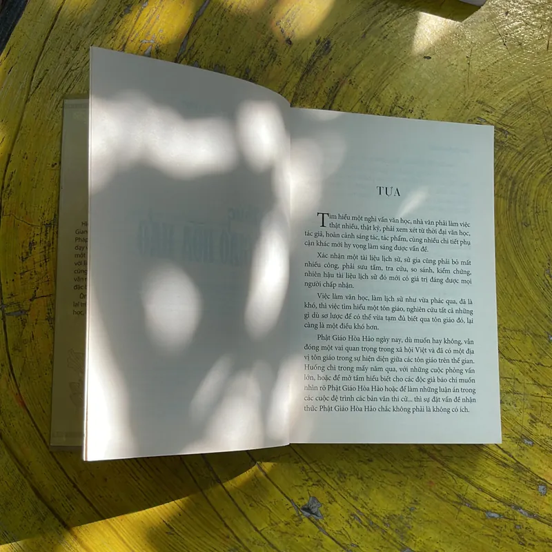 COMBO PHẬT GIÁO HOÀ HẢO- NHẬN THỨC PHẬT GIÁO HOÀ HẢO & SẤM GIẢNG THI VĂN GIÁO LÝ 687924