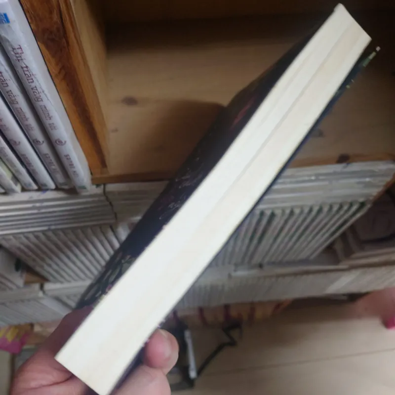 Câu chuyện ngày xuân 779377