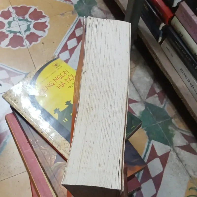 Bó Hoa Xuân  788668