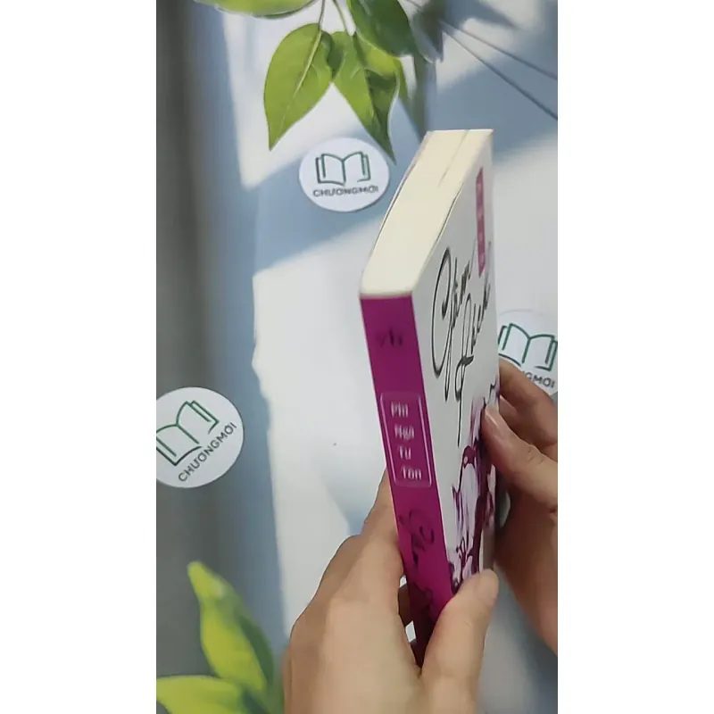 Gấm rách - Phỉ Ngã Tư Tồn 688659