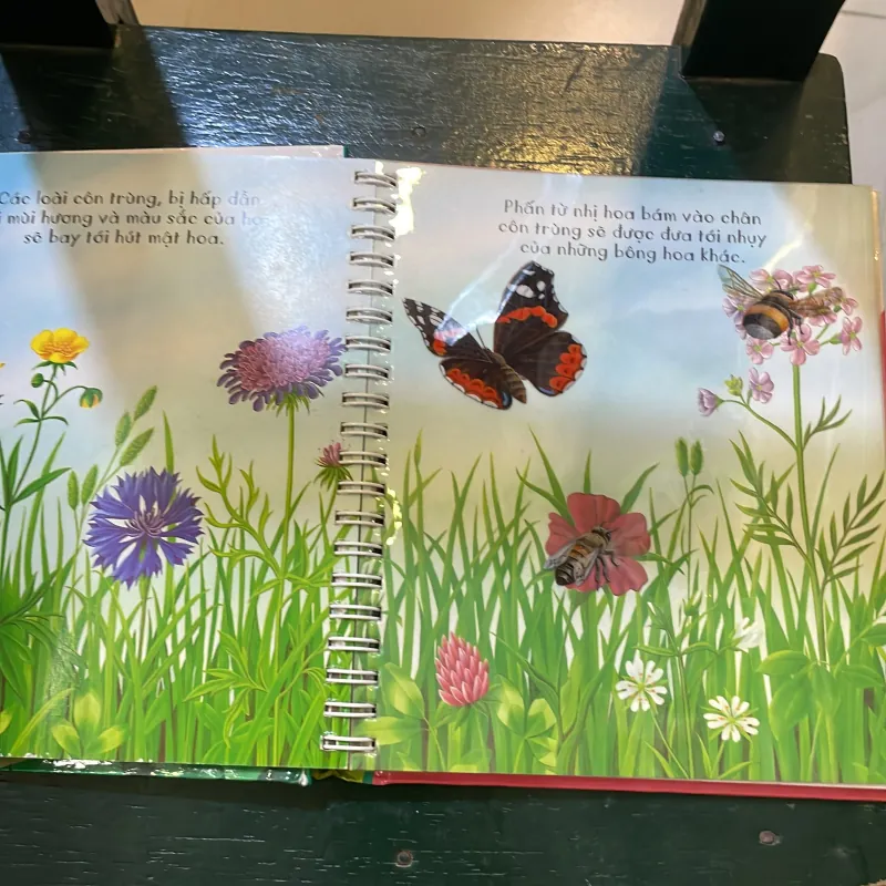 Những khám phá đầu tiên của tớ - Hoa - nhã nam 2018  1027415