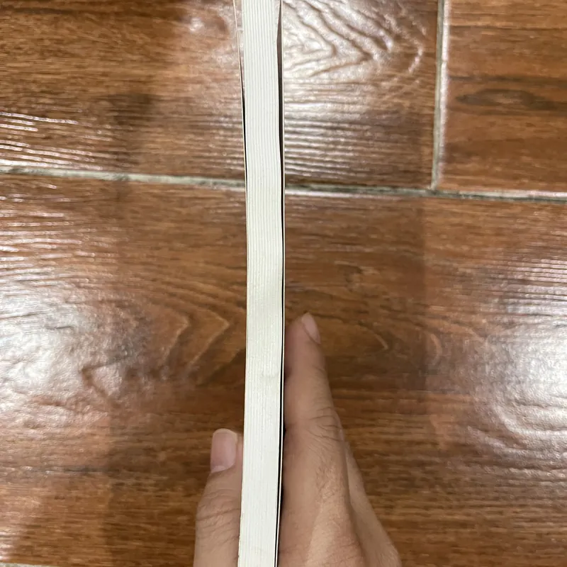 Cây kiểng Bonsai trong nhà (6) 715975