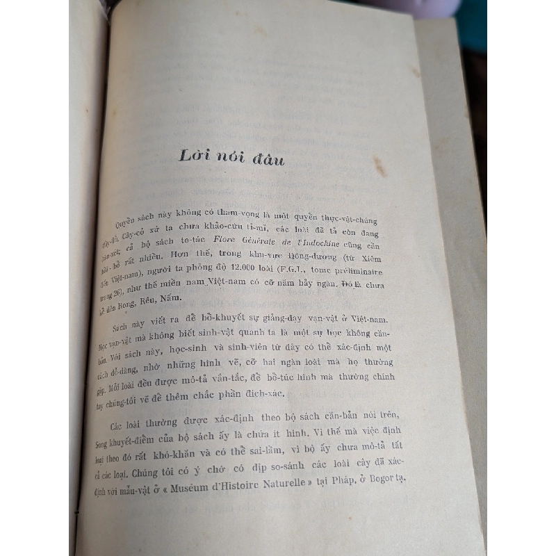 Cây cỏ miền nam Việt Nam - Phạm Hoàng Hộ ( trọn bộ 2 tập ) 128641