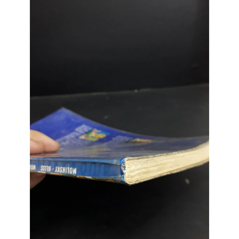 Word by word Picture dictionary Học tiếng anh qua hình ảnh mới 80% bẩn bìa, ố nhẹ, có chữ ký trang đầu 2000 HCM1712 Steven J.Molinsky & Bill Bliss HỌC NGOẠI NGỮ 354811