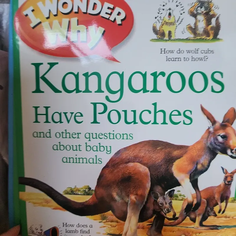 Combo 10 quyển I wonder why 733565