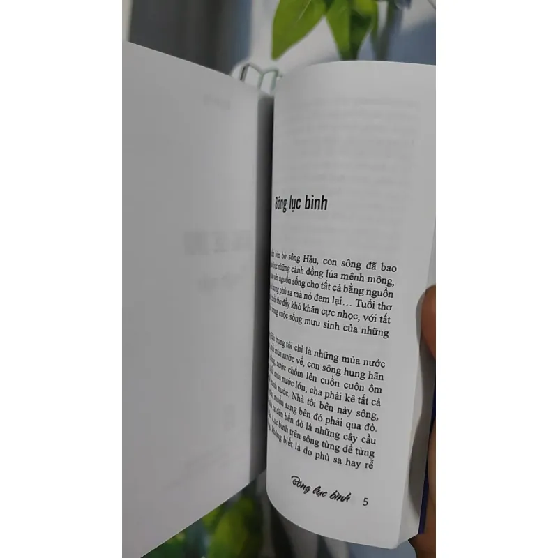 Bông Lục Bình - Mạnh Hà 798483