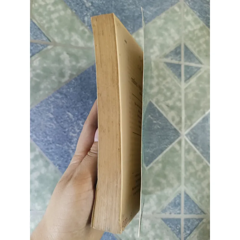 Tiếng Việt phong phú - Bằng Giang 793182