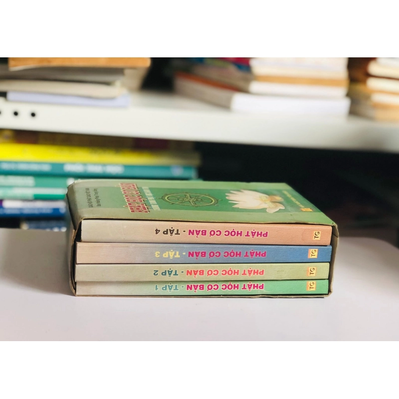 📚 BỘ 4 TẬP PHẬT HỌC CƠ BẢN (Chương trình Phật học Hàm Trụ) 544990