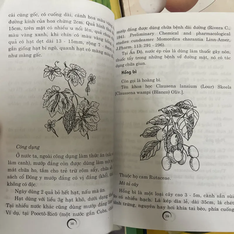 COMBO 7 CUỐN SÁCH ĂN UỐNG – BÀI THUỐC THEO Y HỌC CỔ TRUYỀN  753118