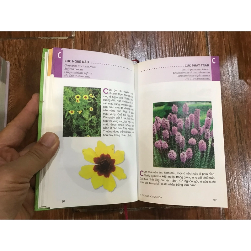 Từ điển tranh 4 cuốn (o4)  471927