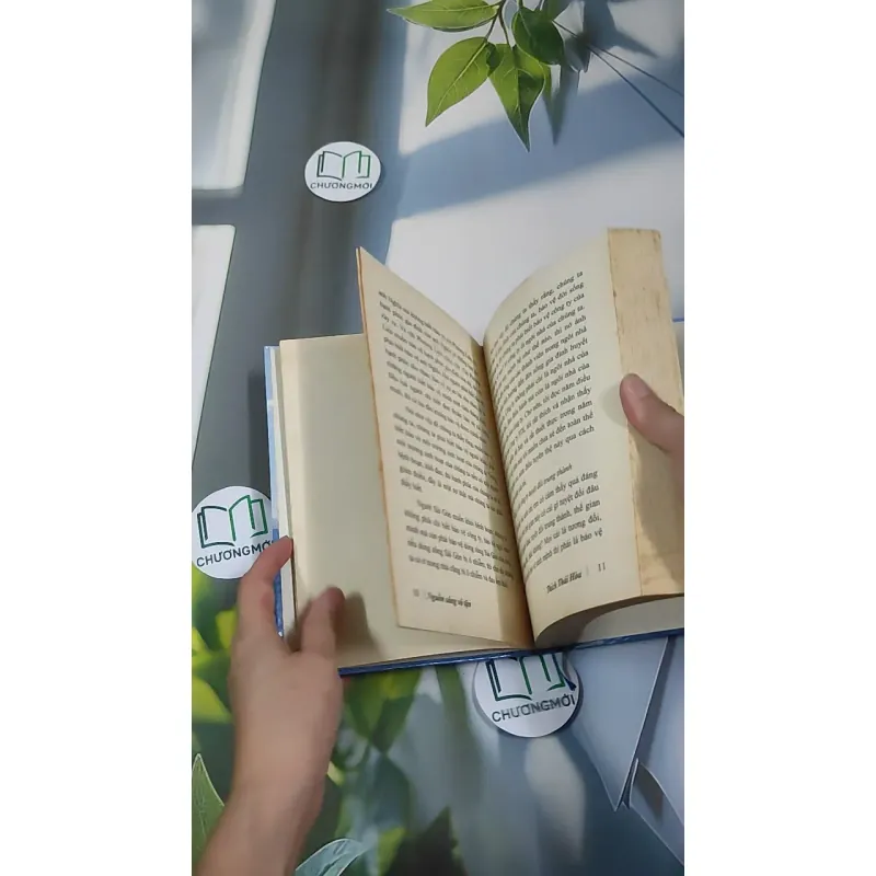 Nguồn Sáng Vô Tận - Thích Thái Hòa 990452