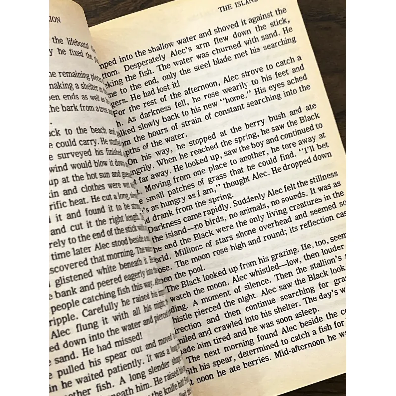 The Black Stallion 972887