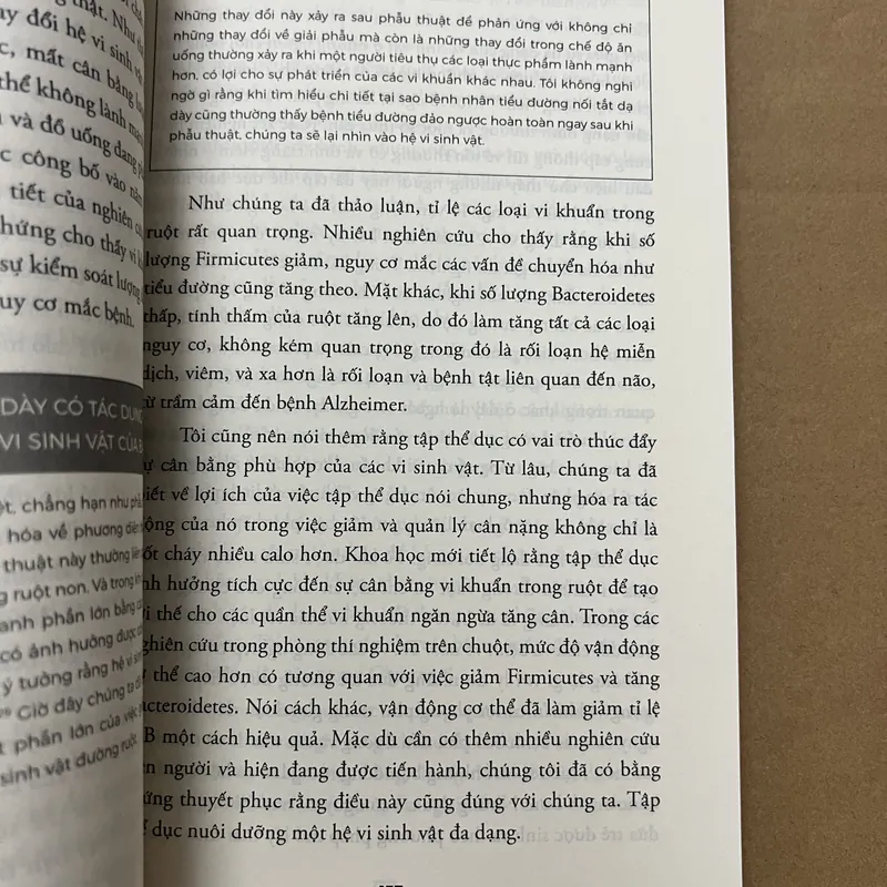 Ăn Gì Bổ Não 741004