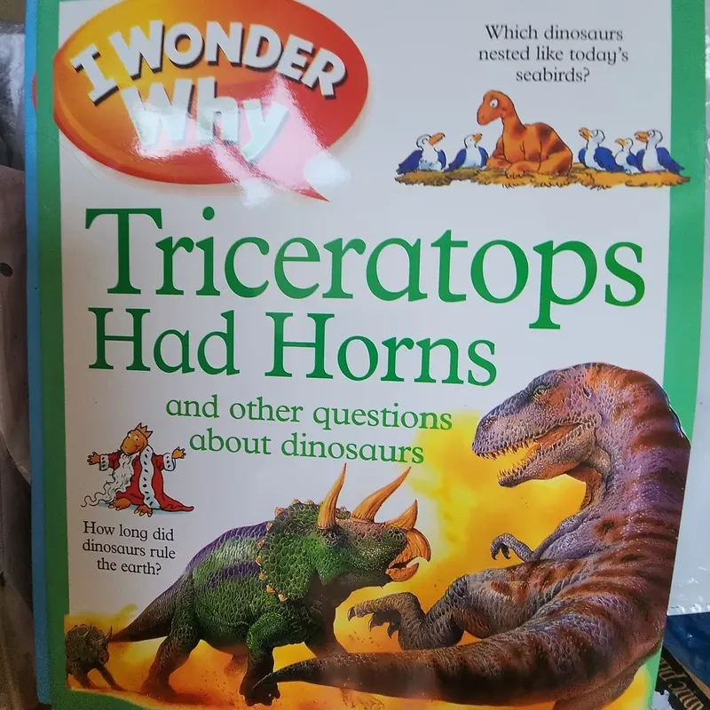 Combo 10 quyển I wonder why 733565