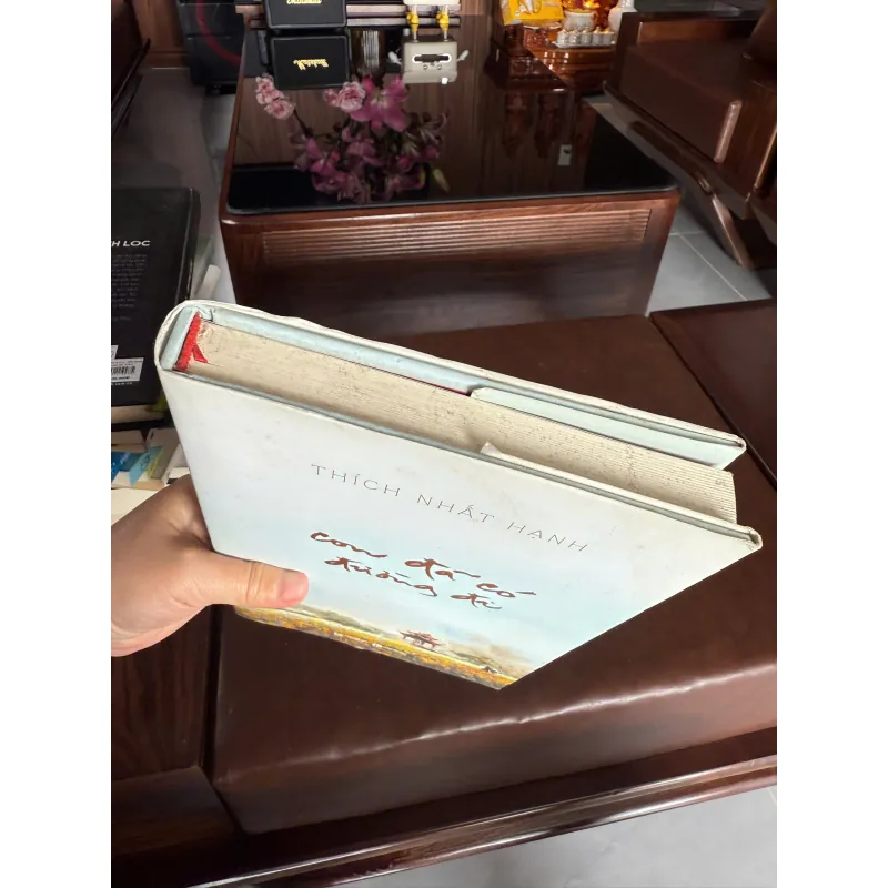 Con đã có đường đi” – Thích Nhất Hạnh 973315