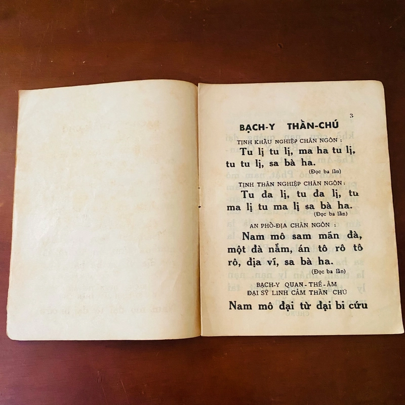 Bạch y thần chú  521903