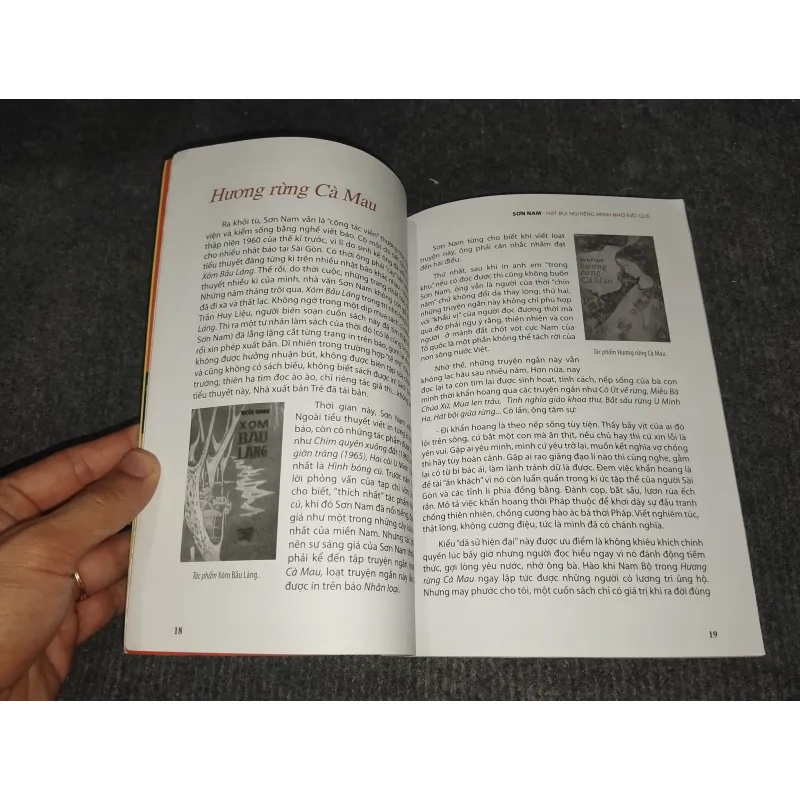 SƠN NAM: HẠT BỤI NGHIÊNG MÌNH NHỚ ĐẤT QUÊ 972491