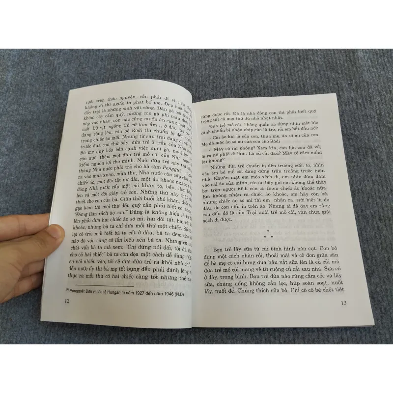ĐỨA TRẺ MỒ CÔI - MÓRICZ ZSIGMOND 574299