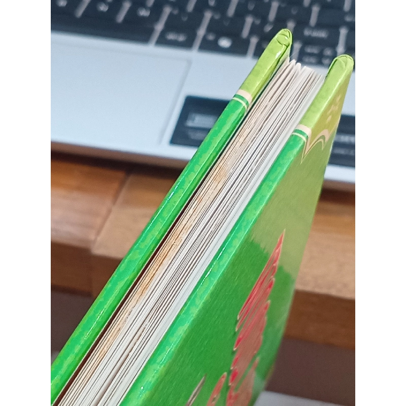 Woodland Stories 993570