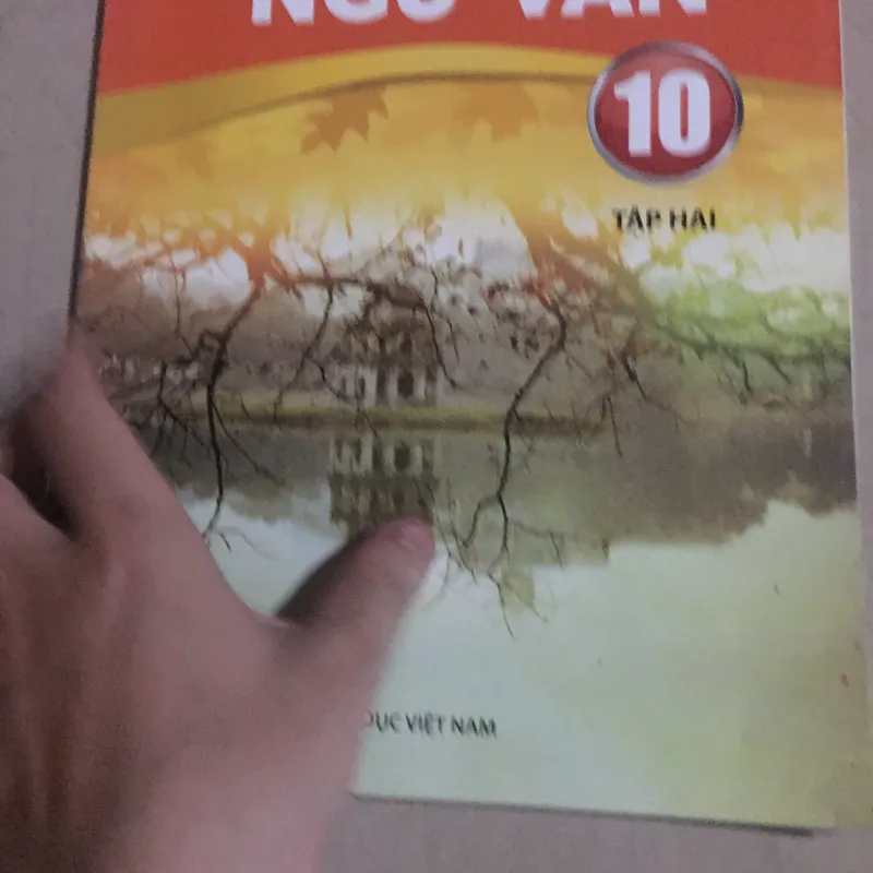 Sách ngữ văn 10 chân trời sáng tạo (cũ)tập hai 561615