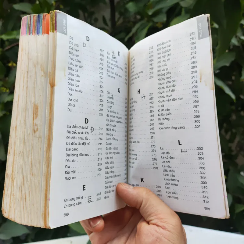 Từ Điển Tranh Về Các Con Vật - Lê Quang Long 753786