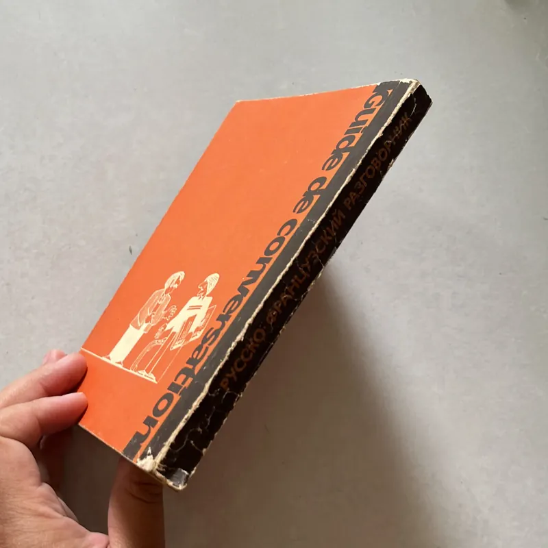 Đàm thoại Nga - Pháp - Русско • французский разговорник 673871