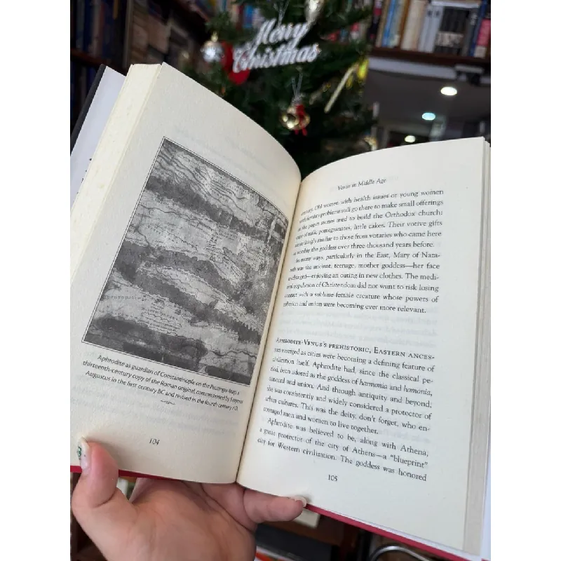 Venus and Aphrodite - A biography of Desire 722935