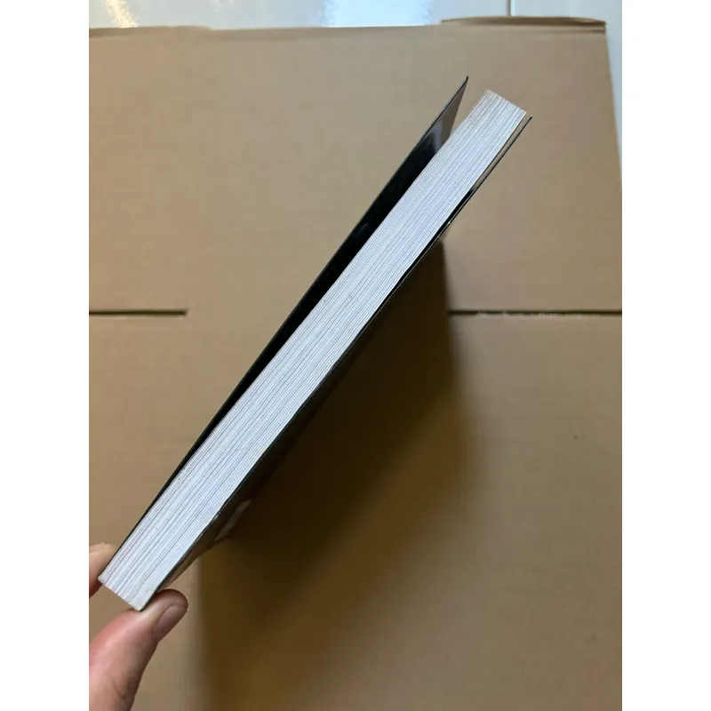 Phiên bản - Nguyễn Đình Tú 929753