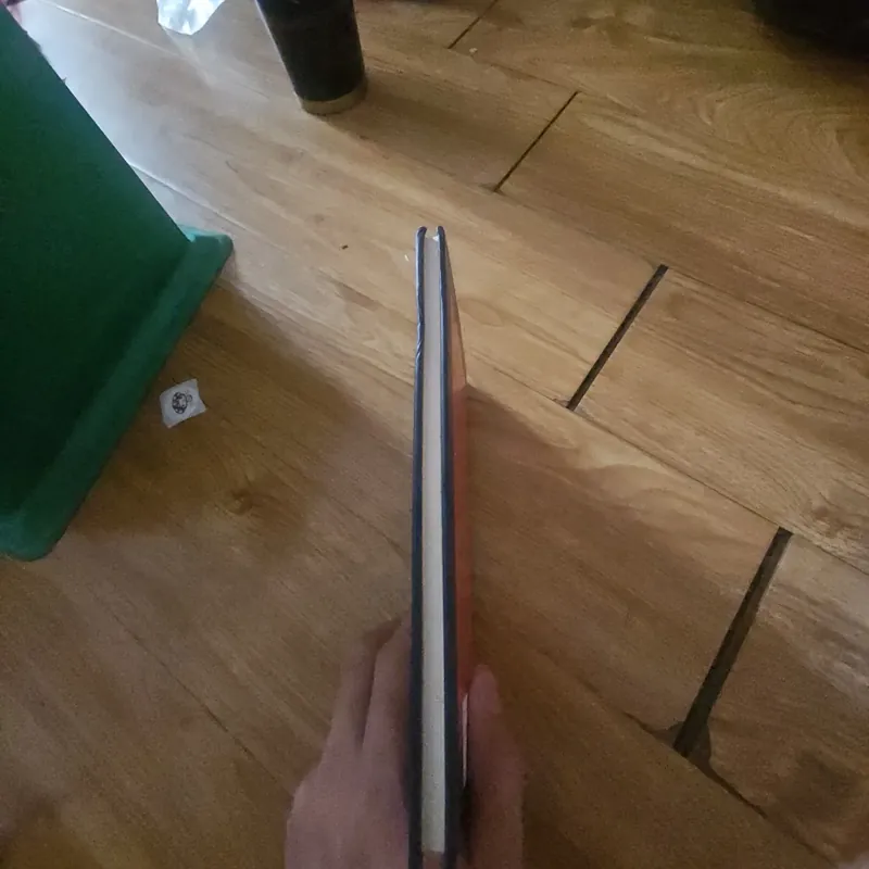 The good child's guide to rock'n'roll (bìa cứng) Giá 20k  604009