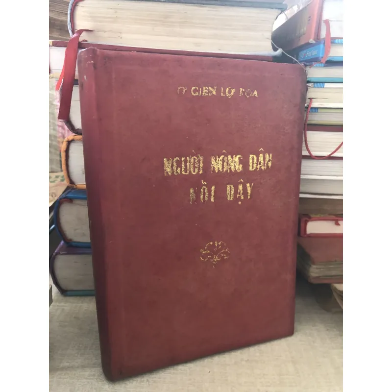 Người nông dân nổi dậy 1000276