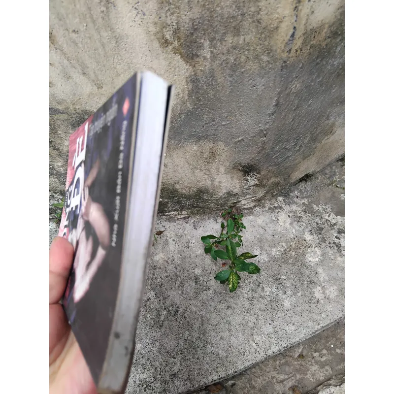 Bóng đè tập truyện của Đỗ Hoàng Diệu  1029199