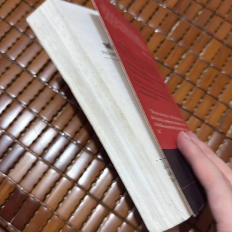Thế giới ngầm ở Tokyo - Rober Whiting 534396