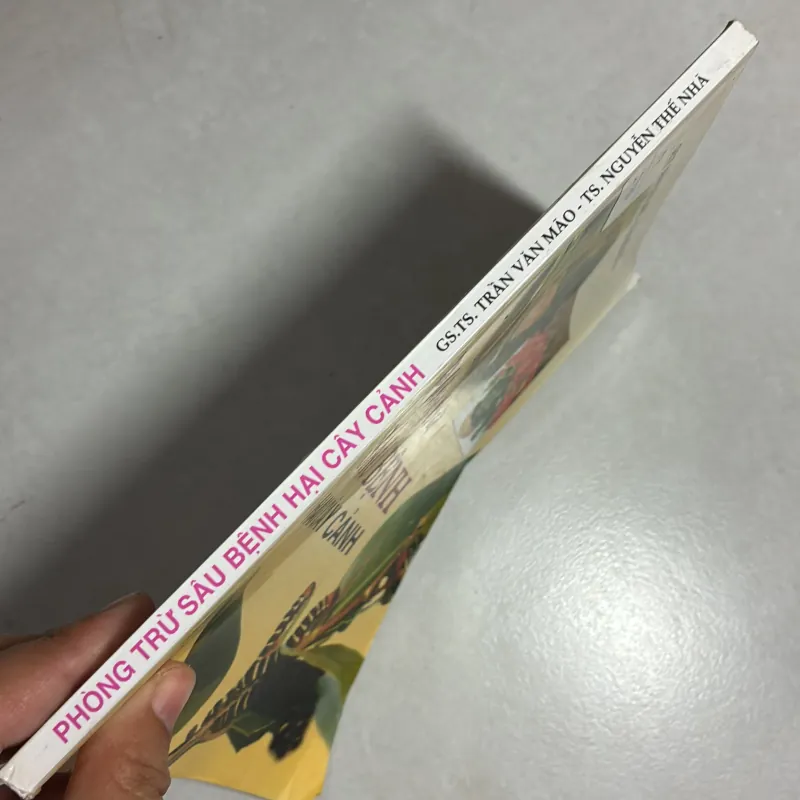 Phòng trừ sâu bệnh cây cảnh 790669