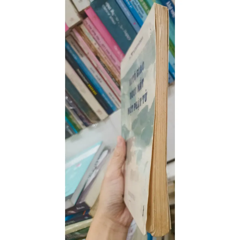 Kitô giáo dưới mắt một phật tử 🌻 559217