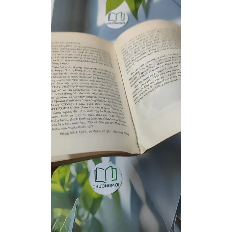 [XƯA] Hồ Sơ Một Thế Hệ (1996) 928586