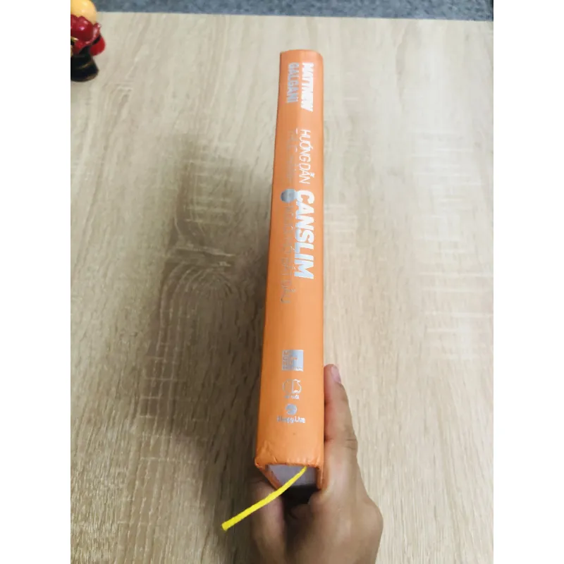 HƯỚNG DẪN THỰC HÀNH CANSLIM CHO NGƯỜI MỚI BẮT ĐẦU 968615