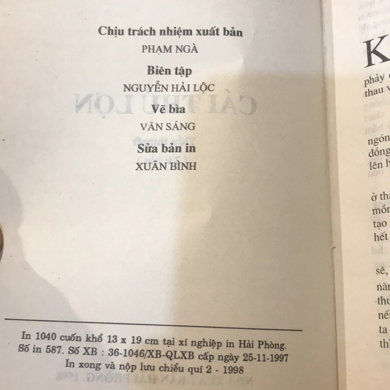 CÁI THỦ LỢN (Tiểu Thuyết) 503666