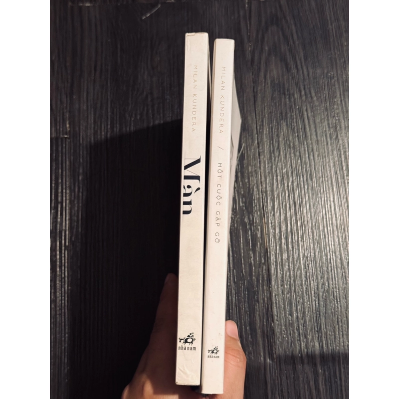 Combo màn + một cuộc gặp gỡ - Milan Kundera 474889