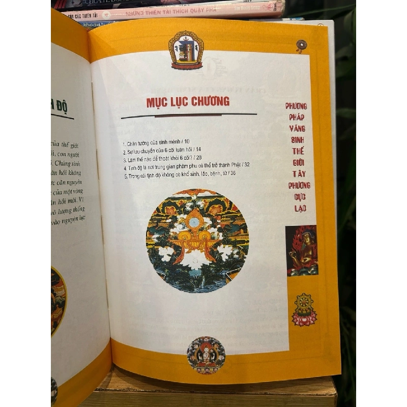 Tây phương cực lạc -Chu Tước Nhi dịch 786168