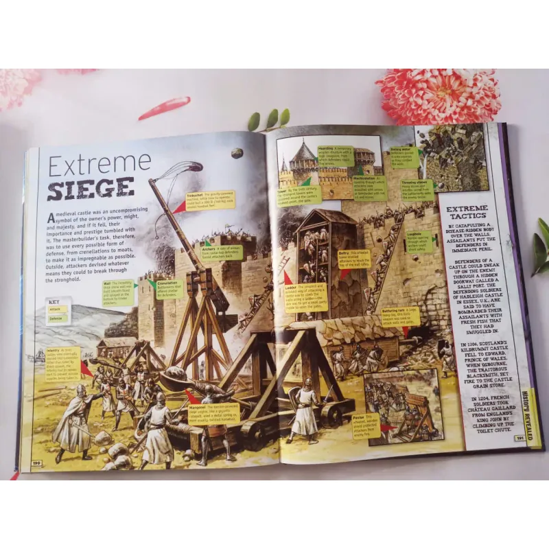 Discover the Extreme World 934756