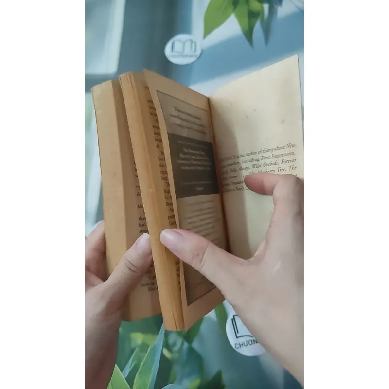 Someone to Love - Jude Deveraux 1027215