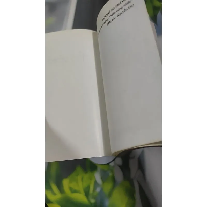 Đức Năng Thắng Số - Lê Phương Chi 727345