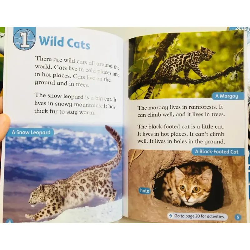 Oxford read and discover (Sách nhập) - Level 1 - 20 quyển + File Mp3 799723