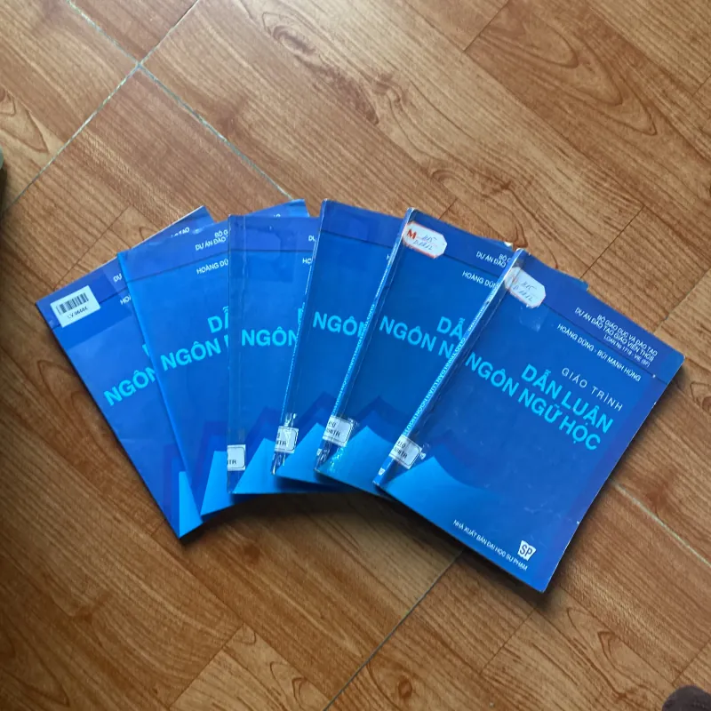 Giáo trình dẫn luận ngôn ngữ học 936634