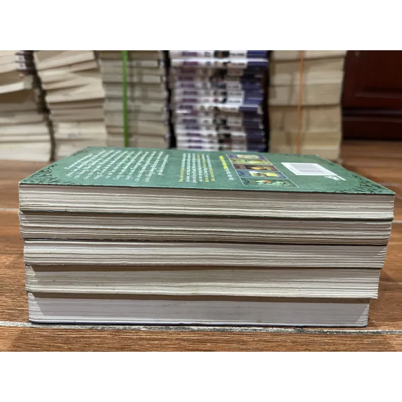 Biên niên sử xứ Prydain trọn bộ 5 tập (t4) 925771