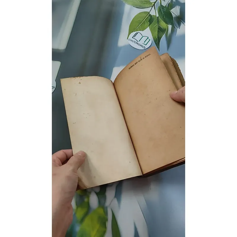 [XƯA] Quãng Đời Xưa In Bóng (1990) - Dũng Hà 776083