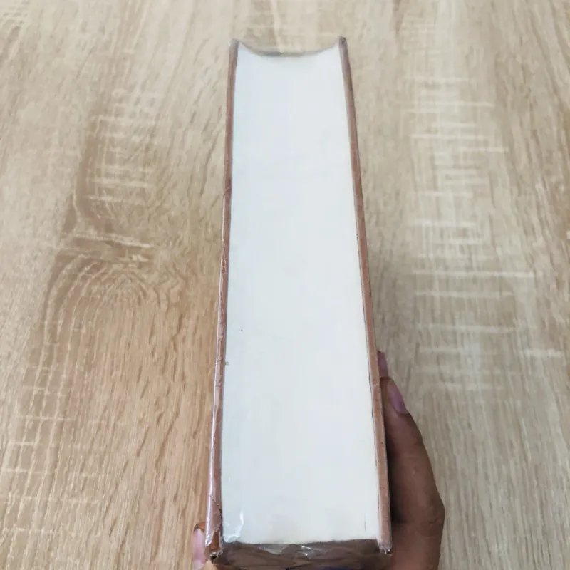 ĐỔI MỚI ĐI LÊN TỪ THỰC TẾ – Tuyển tập của Trần Bạch Đằng  974746