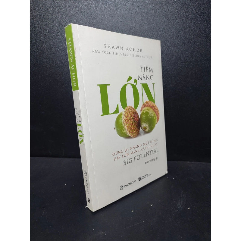 Tiềm năng lớn Shawn Achor 2019 mới 95% bấn nhẹ HCM.ASB2512 kỹ năng tư duy 448288