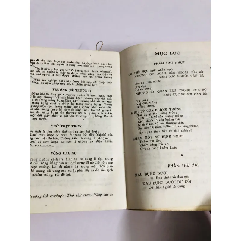 BỆNH ĐÀN BÀ 1989 726468