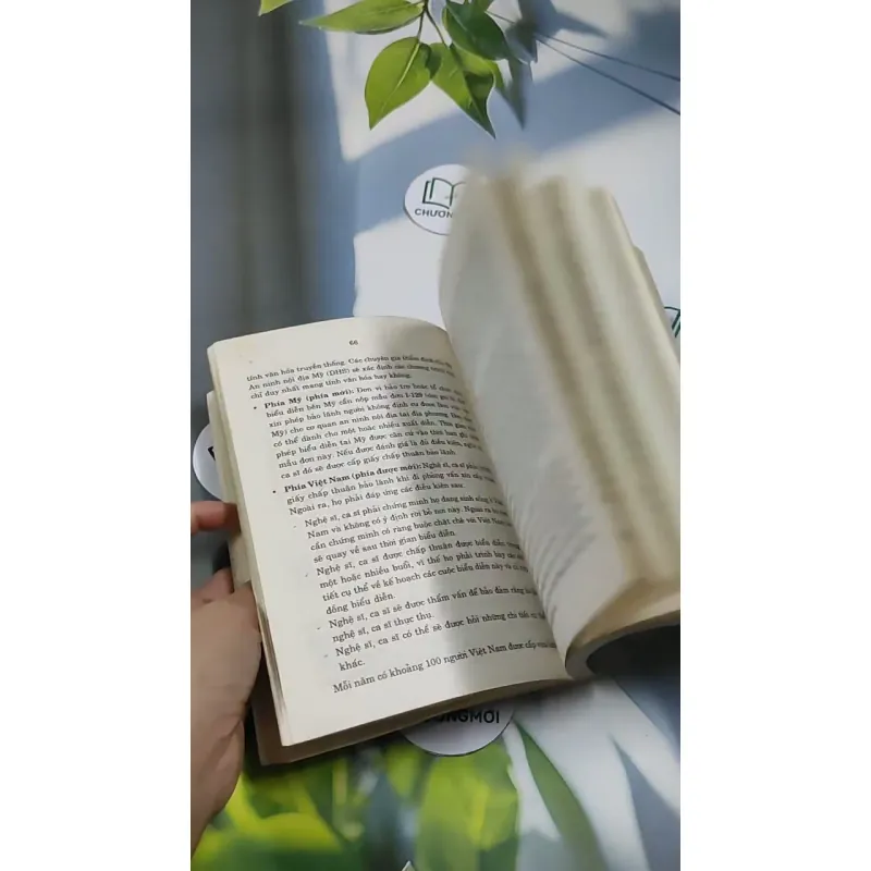 Bạn Muốn Đi Nước Ngoài? (Hỏi & Đáp Về Thủ Tục Cấp Visa Vào Các Nước 707254